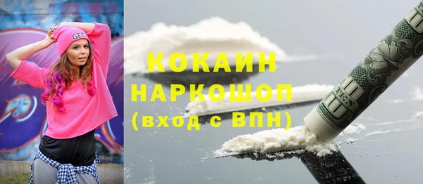 сатива Строитель