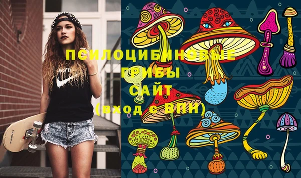 метадон Богданович
