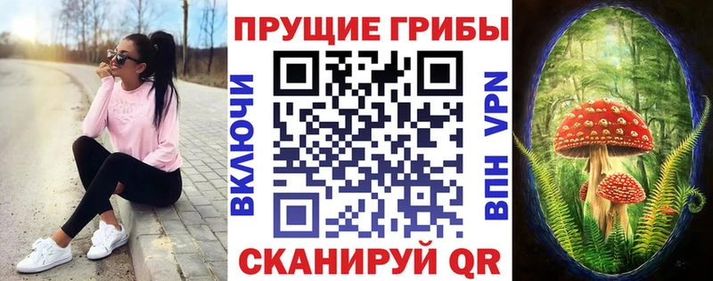 Галлюциногенные грибы мухоморы  где можно купить наркотик  Павловск 